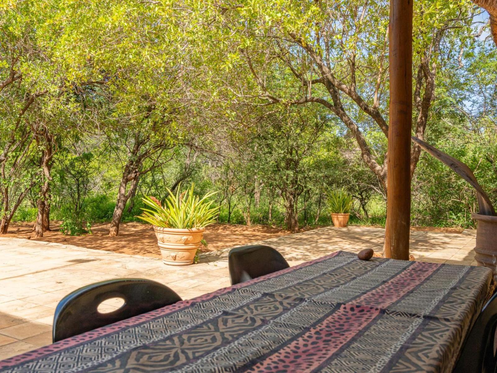 Impala Cottage Hoedspruit Ngoại thất bức ảnh