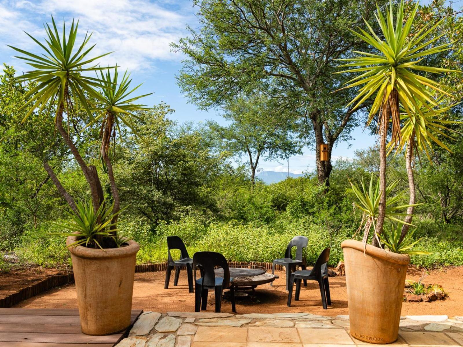 Impala Cottage Hoedspruit Ngoại thất bức ảnh